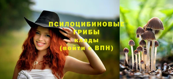 герыч Бугульма