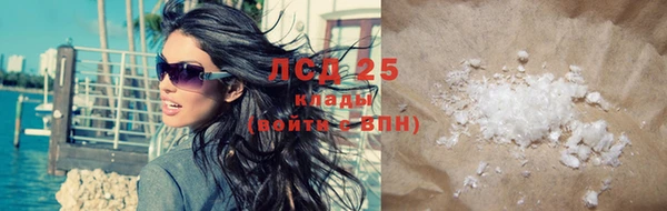 молекула духа Билибино