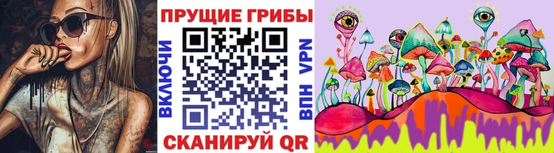 Псилоцибиновые грибы Psilocybe  Ворсма 